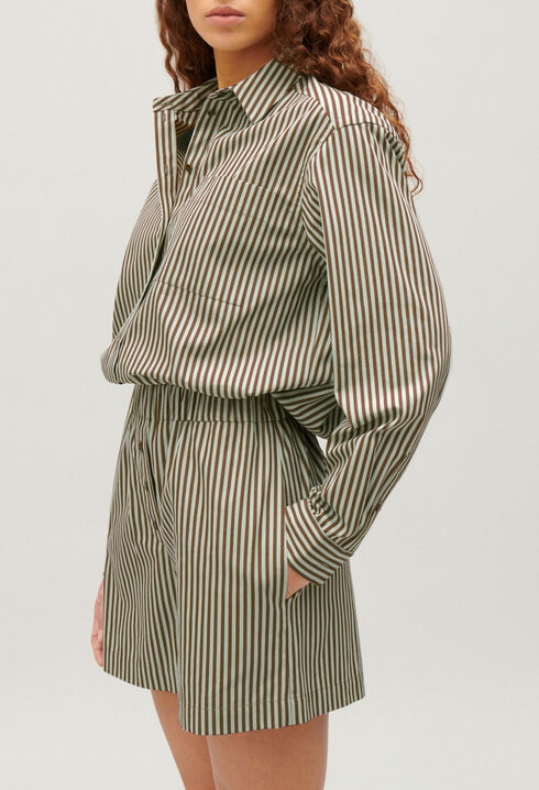 Green stripy shirt