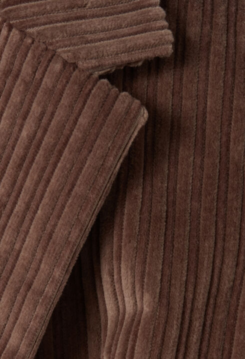 Velvet Fitted Jacket