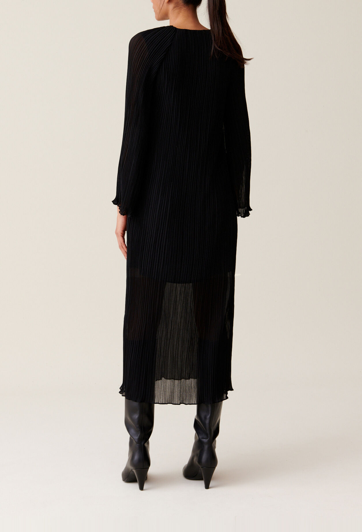 Sheer Pleated Maxi Dress