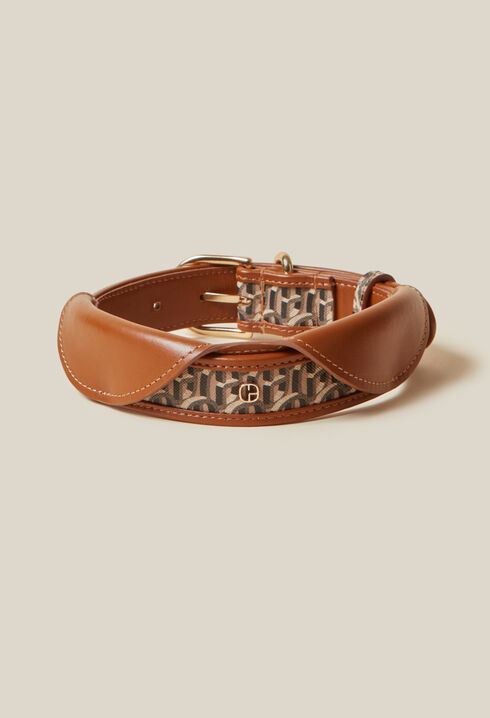 Monogrammed CP dog collar
