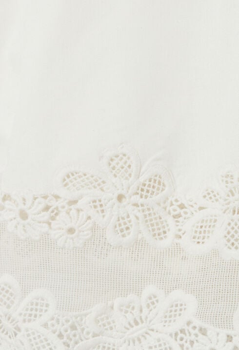 Embroidered Plus Size Shorts