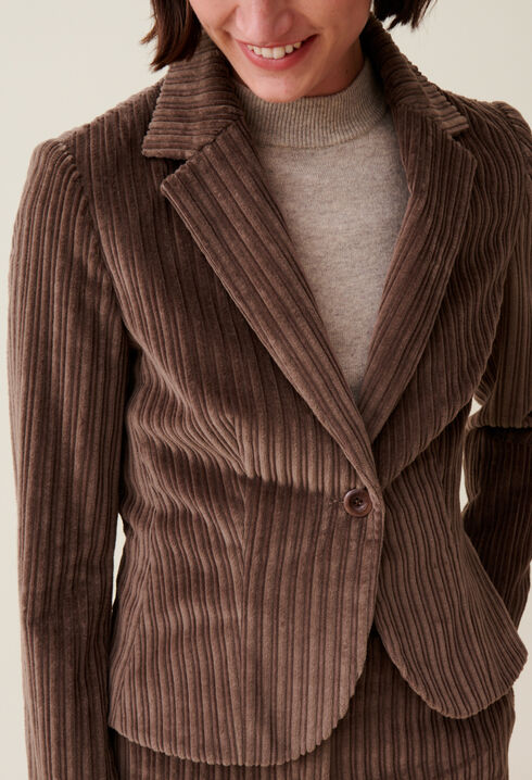 Velvet Fitted Jacket