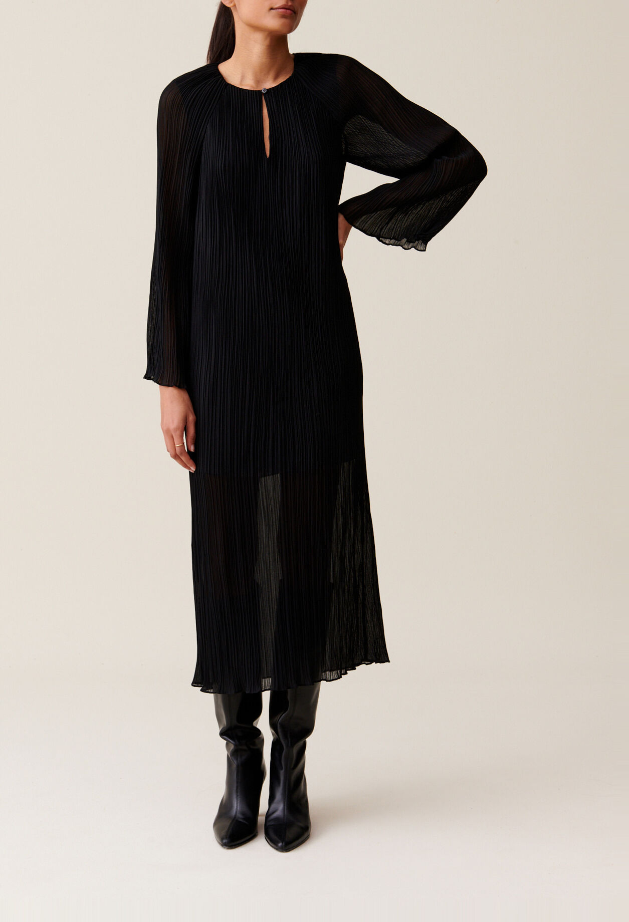 Sheer Pleated Maxi Dress