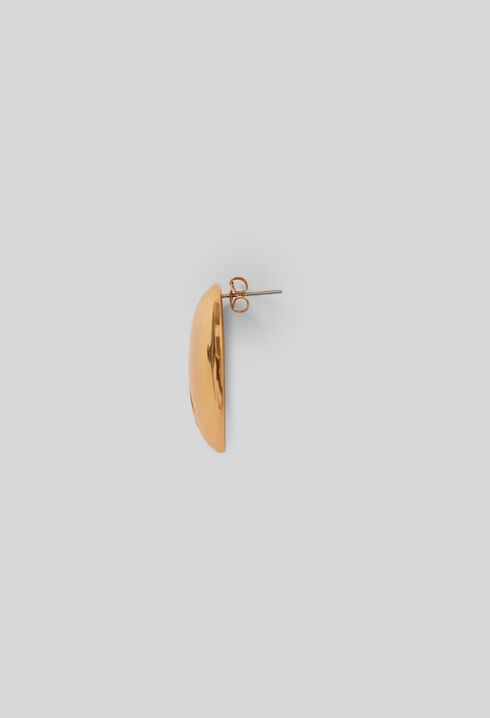 Heart earrings